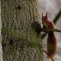 IMG 4941