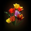 Bouquet de tulipes V2.jpg