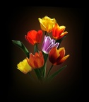 Bouquet de tulipes V2